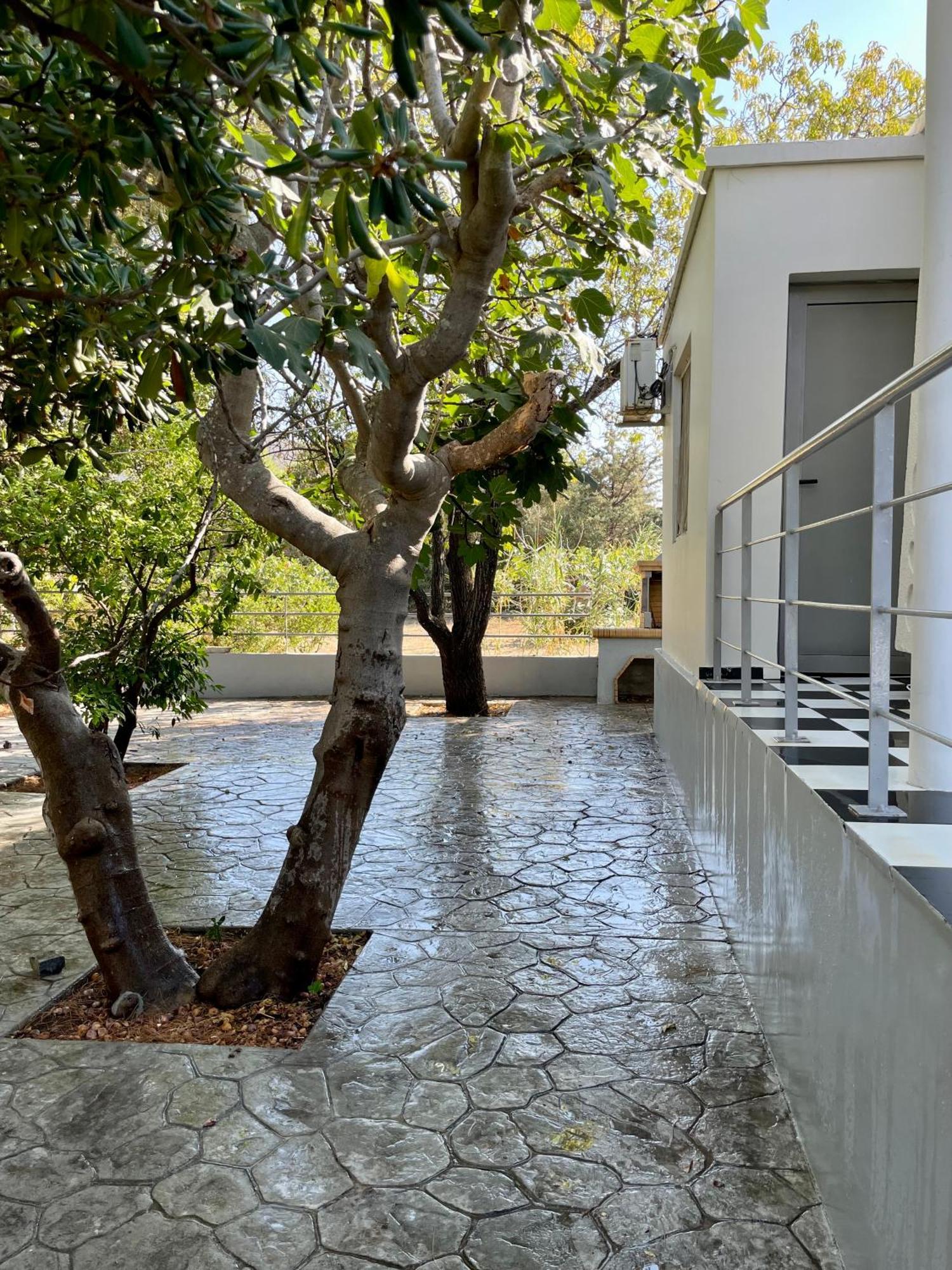 Architect'S Summer House By The Beach Pórto Ráfti Exterior foto